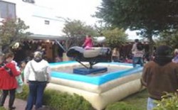Mechanical Bull